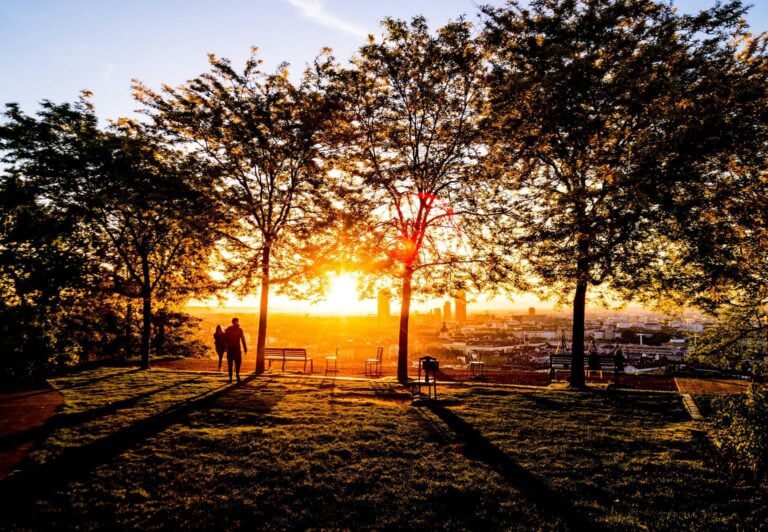 6 Joyas ocultas para el picnic perfecto en los parques de Lyon