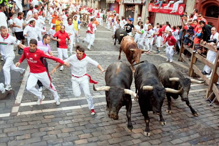 The Running of the Bulls san fermin festival Pampalona Spain