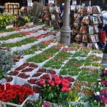 Bloemenmarkt Amsterdam flower market